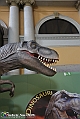 VBS_1006 - Dinosauri. Terra dei giganti